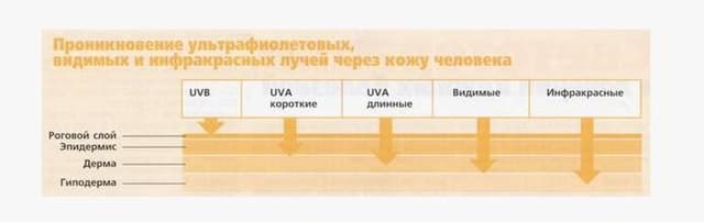 При борьбе с кожными заболеваниями применяют УФА- и УФБ-спектры При борьбе с кожными заболеваниями применяют УФА- и УФБ-спектры