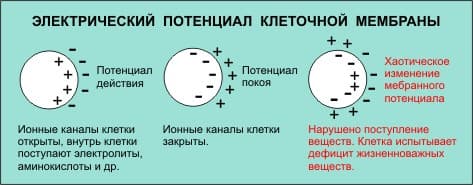 Процедура микротоки Процедура микротоки