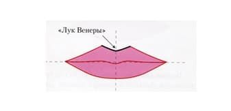 Безболезненное моделирование губ_лук венеры Безболезненное моделирование губ_лук венеры